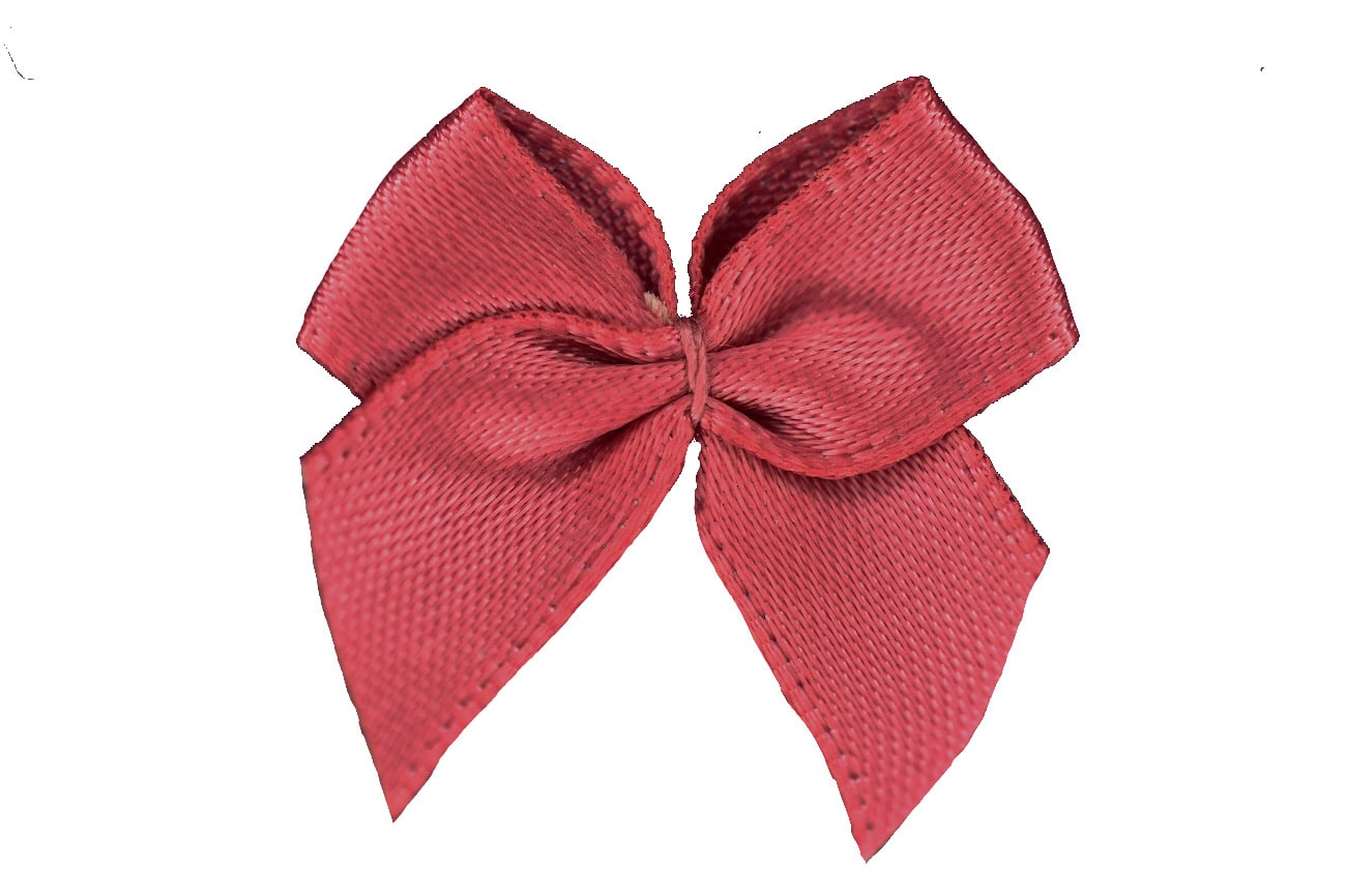 Schleife klein Brombeere