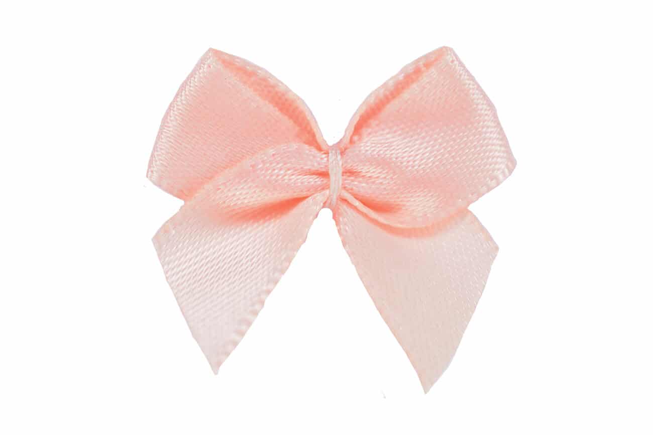 Schleife klein lachs