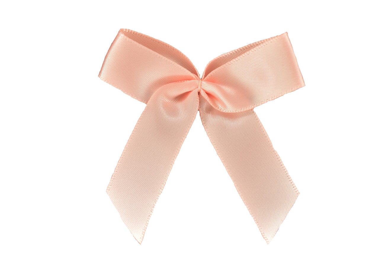 Schleife groß lachs